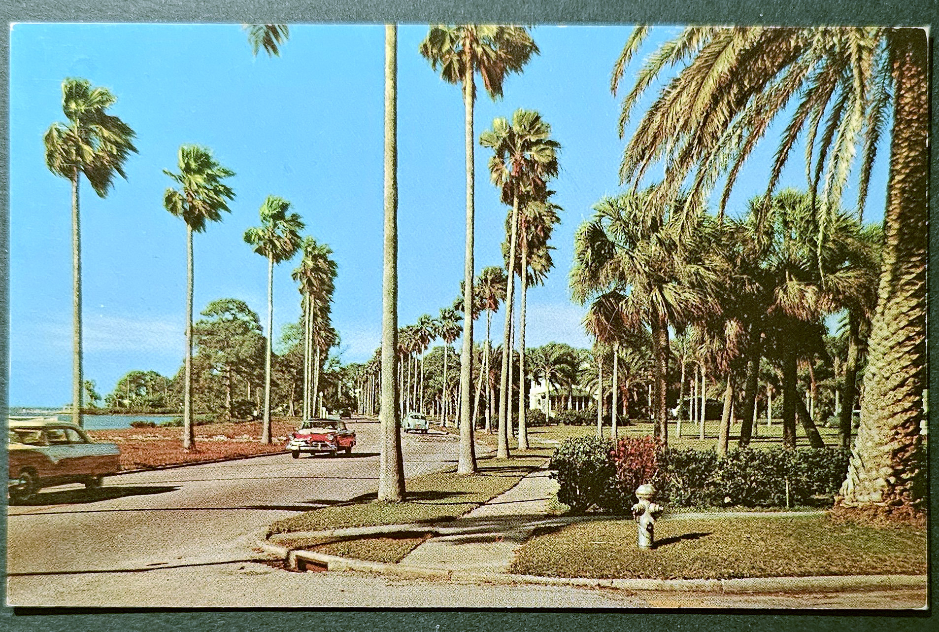 (image for) postcard USA - FL - Florida #0021